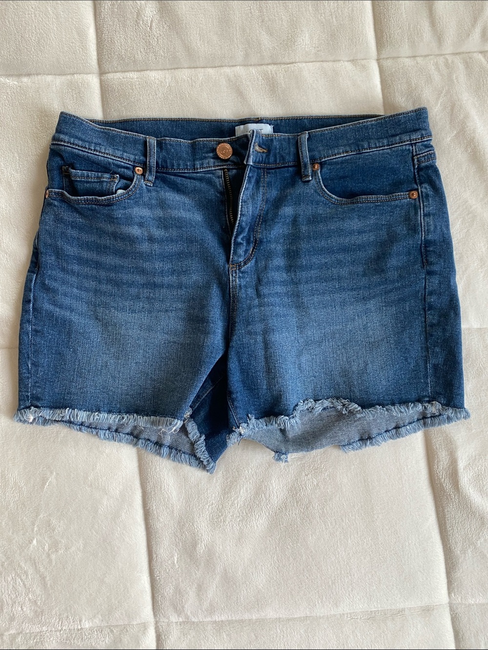 LOFT Women’s 4” Dark Blue Frayed Hem Denim Shorts (Size 10)
